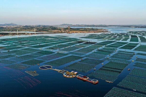 # - My News! Norway Green Cooperation with China Key for Climate Economy