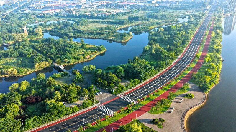 China’s Efforts in Wetland Conservation Praised Ahead of Global Conference Official: China plays major role in global wetland preservation