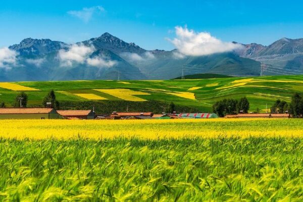 # - My News! Pasture Dataset Boosts Ecoprotection on Qinghaixizang Plateau