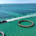 President Xi Calls for Unified Market High quality Marine Economy 