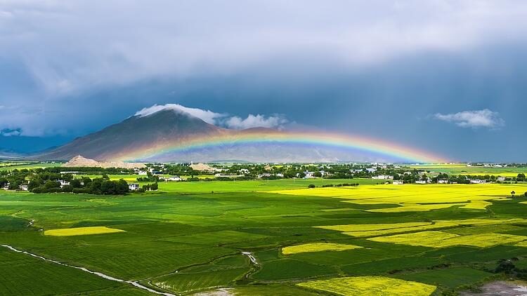 Rare low rainbow seen over Xizang's barley fields