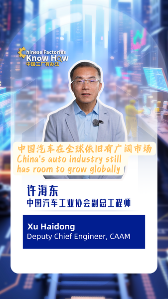 Scholars Take Chinas Auto Industry Still Has Room to Grow Globally Video Poster 