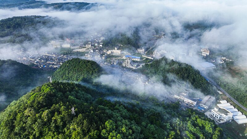 New Book Unveils Xi Jinping’s Vision for a Greener China Selected works of Xi Jinping on ecological civilization published