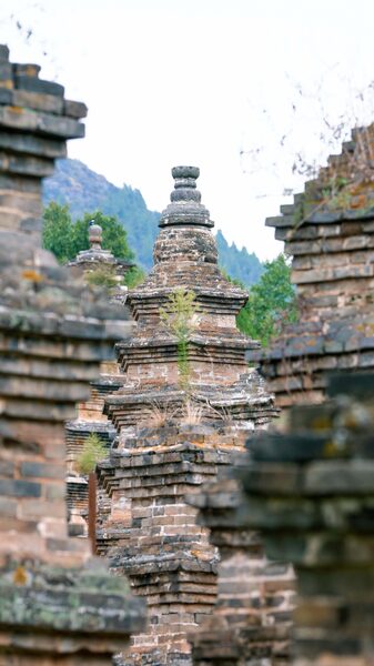 # - My News! Shaolin Pagoda Forest Stones of a Monastic Legacy Video Poster