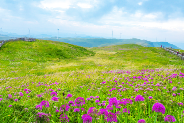 # - My News! Sino swiss Exchanges Drive Mutual Development in Ecotourism