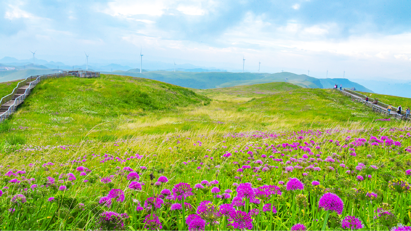 Sino swiss Exchanges Drive Mutual Development in Ecotourism 