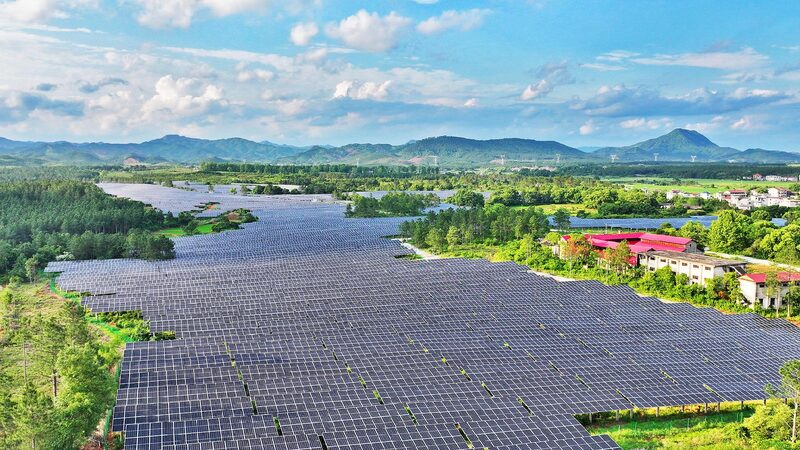 China Vows to Lead in Global Green Development Spokesperson: China is an important contributor to green development