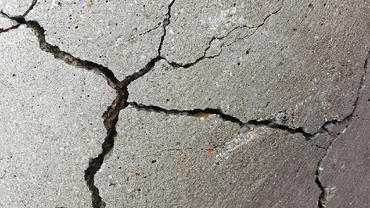 Study finds earthquakes can provide 'fuel' for subterranean life