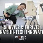 Survive Thrive Chinas Hi tech Innovators Video Poster 