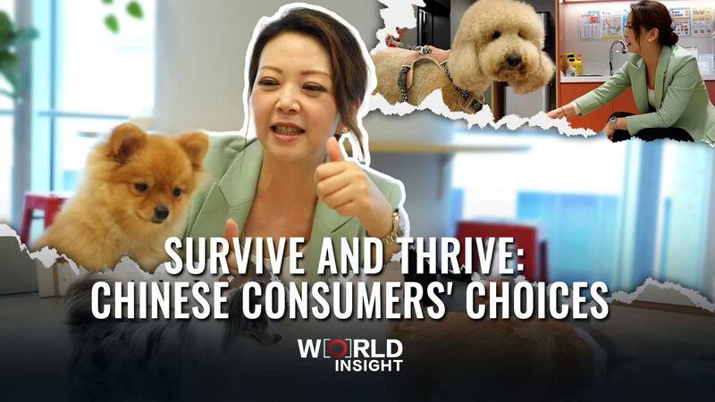 Survive and Thrive: Chinese Consumers' Choices video poster