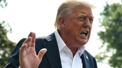 # - My News! Trumps Tariff Eu Urged to Respond Firmly Mexico Slams Unfair Deal