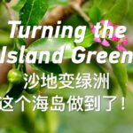 Turning the Island Green Video Poster 