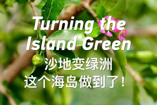 Yongxing Island: From Barren Land to Green Oasis in the South China Sea Turning the Island Green video poster