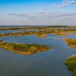 Wetland Monitoring Helps Transform a Migratory Stopover 