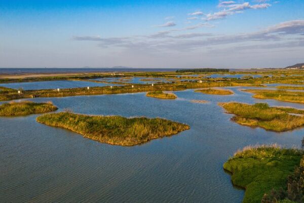 # - My News! Wetland Monitoring Helps Transform a Migratory Stopover