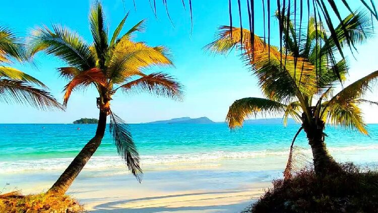 Why should we protect deep-sea wildlife?