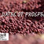 Xinjiang in Focus Dates of Prosperity Video Poster 