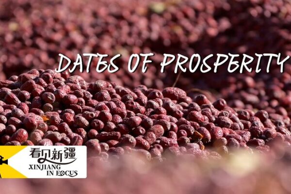 # - My News! Xinjiang in Focus Dates of Prosperity Video Poster