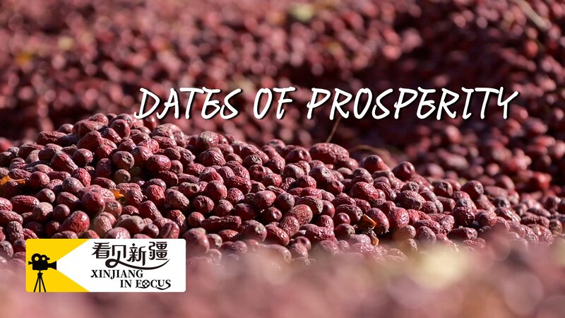 # - My News! Xinjiang in Focus Dates of Prosperity Video Poster